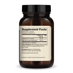 Close-up of Dr. Mercola L-Theanine Plus GABA capsules showing texture and form.