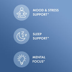 Nighttime routine scene with Dr. Mercola L-Theanine Plus GABA for rest support.