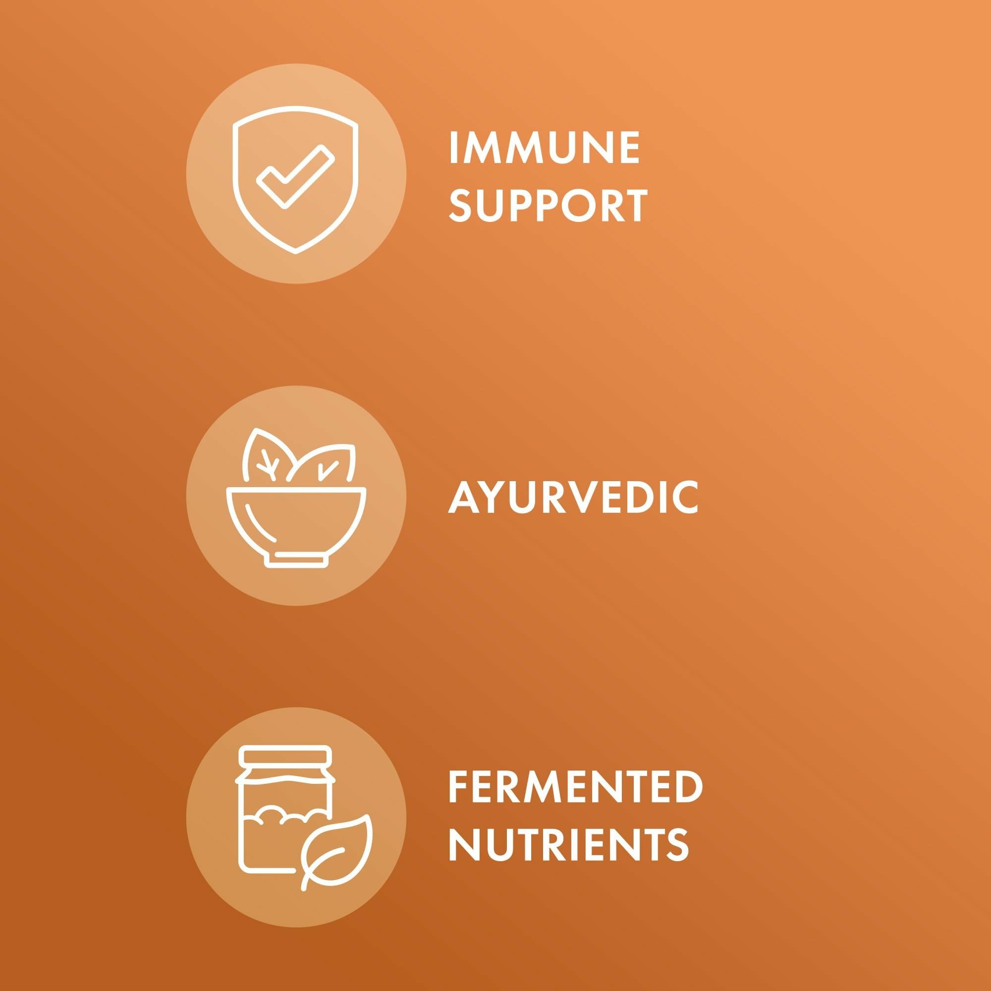 Dr. Mercola Organic Fermented Turmeric label close-up displaying organic and non-GMO