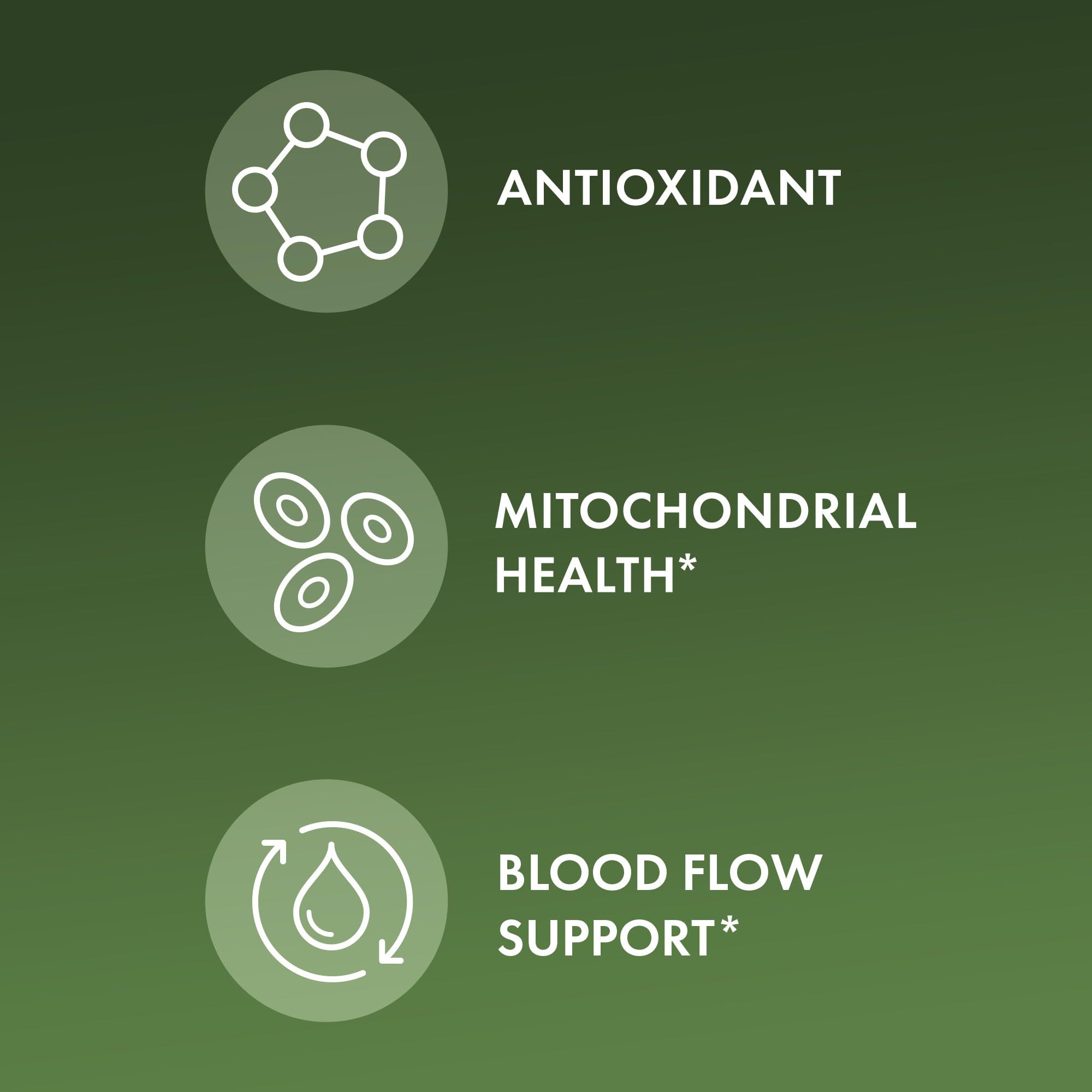 Pouring bottle illustrates easy daily intake with Dr. Mercola Pine Bark Extract.
