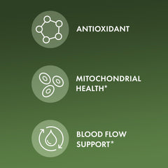 Pouring bottle illustrates easy daily intake with Dr. Mercola Pine Bark Extract.