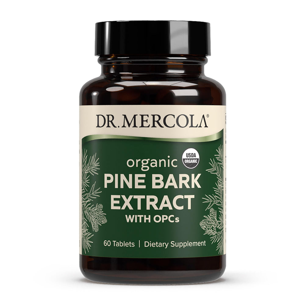 Dr. Mercola Pine Bark Extract bottle highlights antioxidant support and daily wellness.