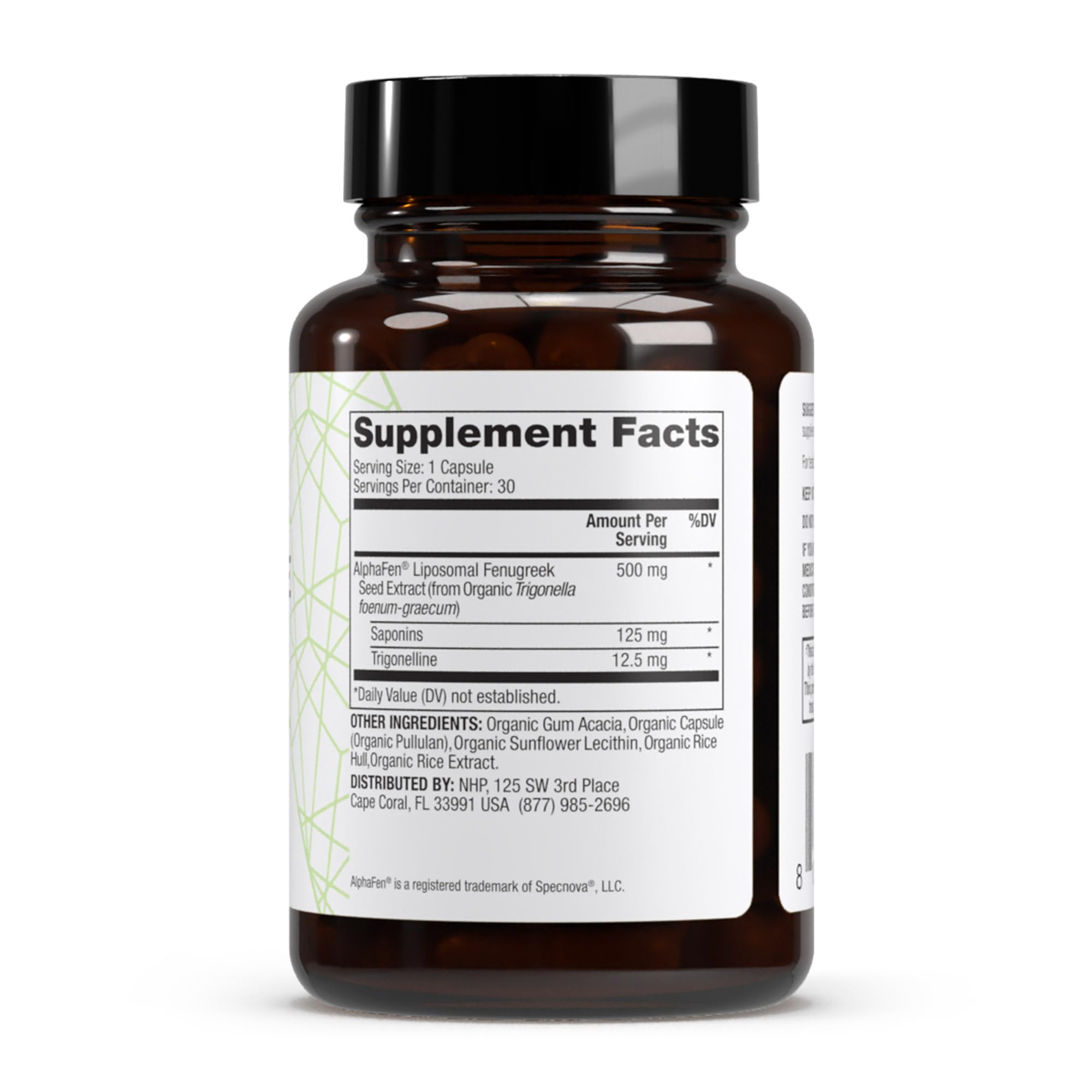 Close-up of capsules highlights 500 mg per serving for daily energy support