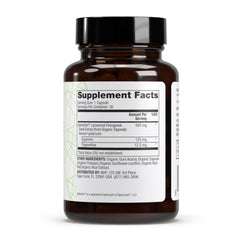 Close-up of capsules highlights 500 mg per serving for daily energy support