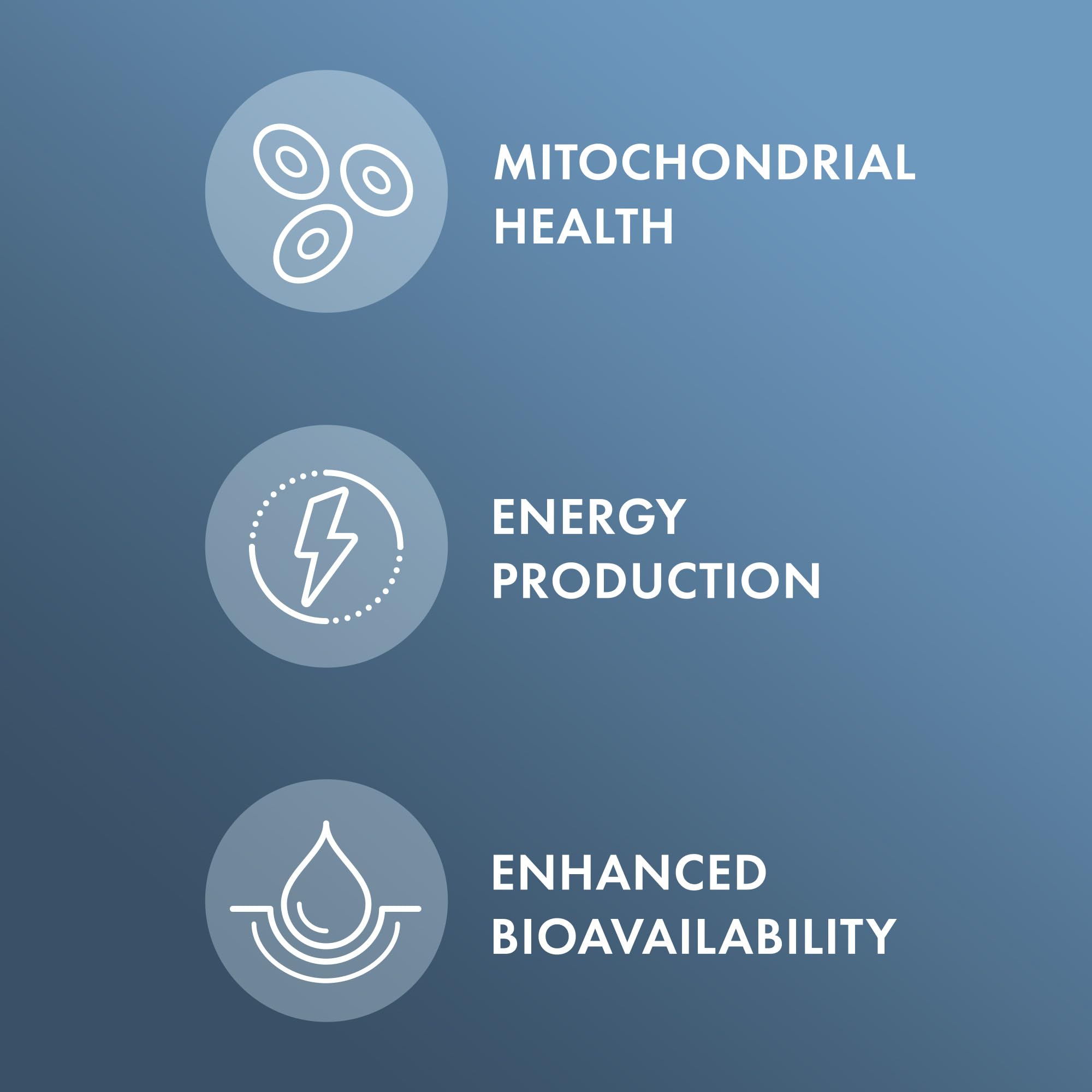 Dr. Mercola Ubiquinol fermentation process visual conveying advanced stabilization
