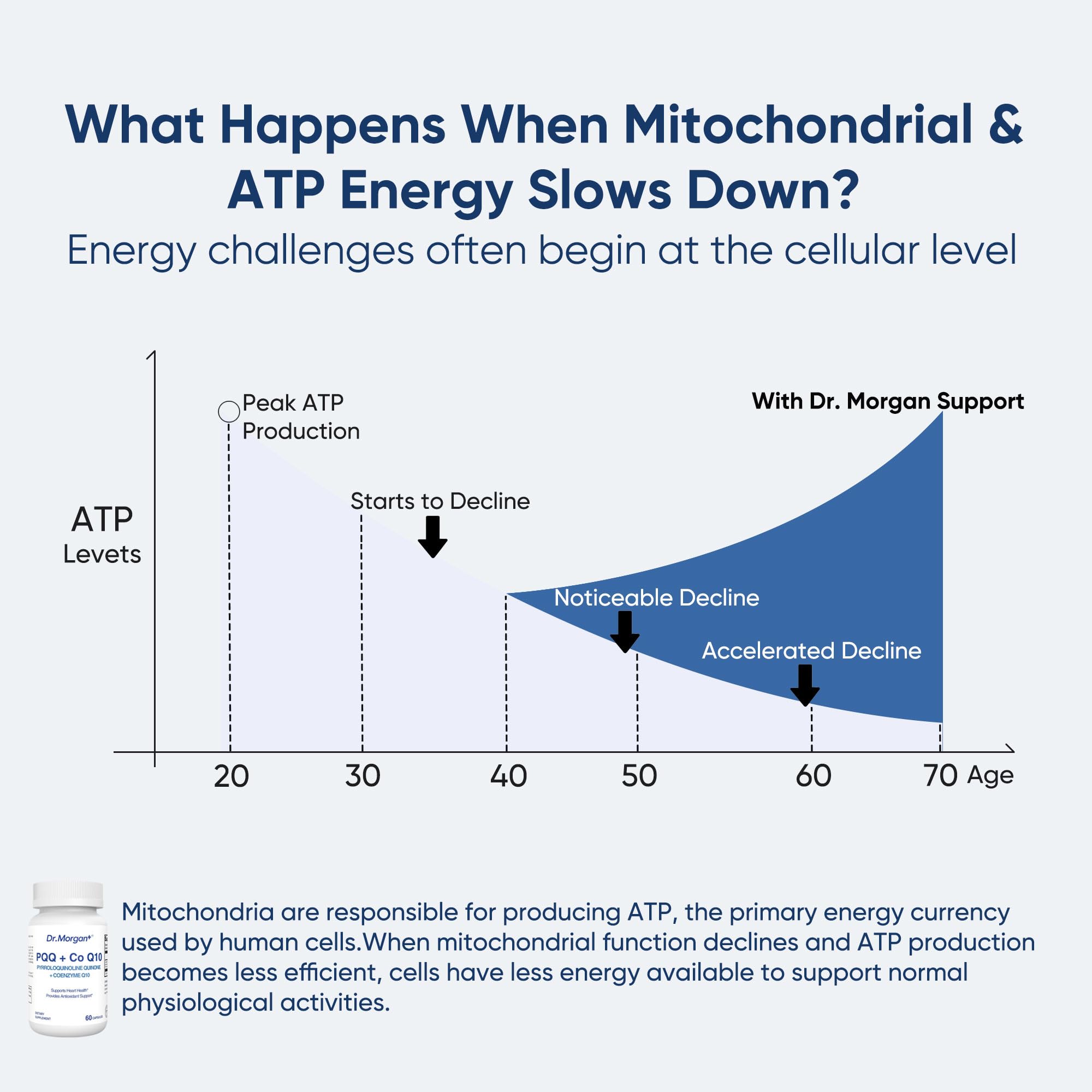 DR.MORGAN infographic explains mitochondrial energy concept.