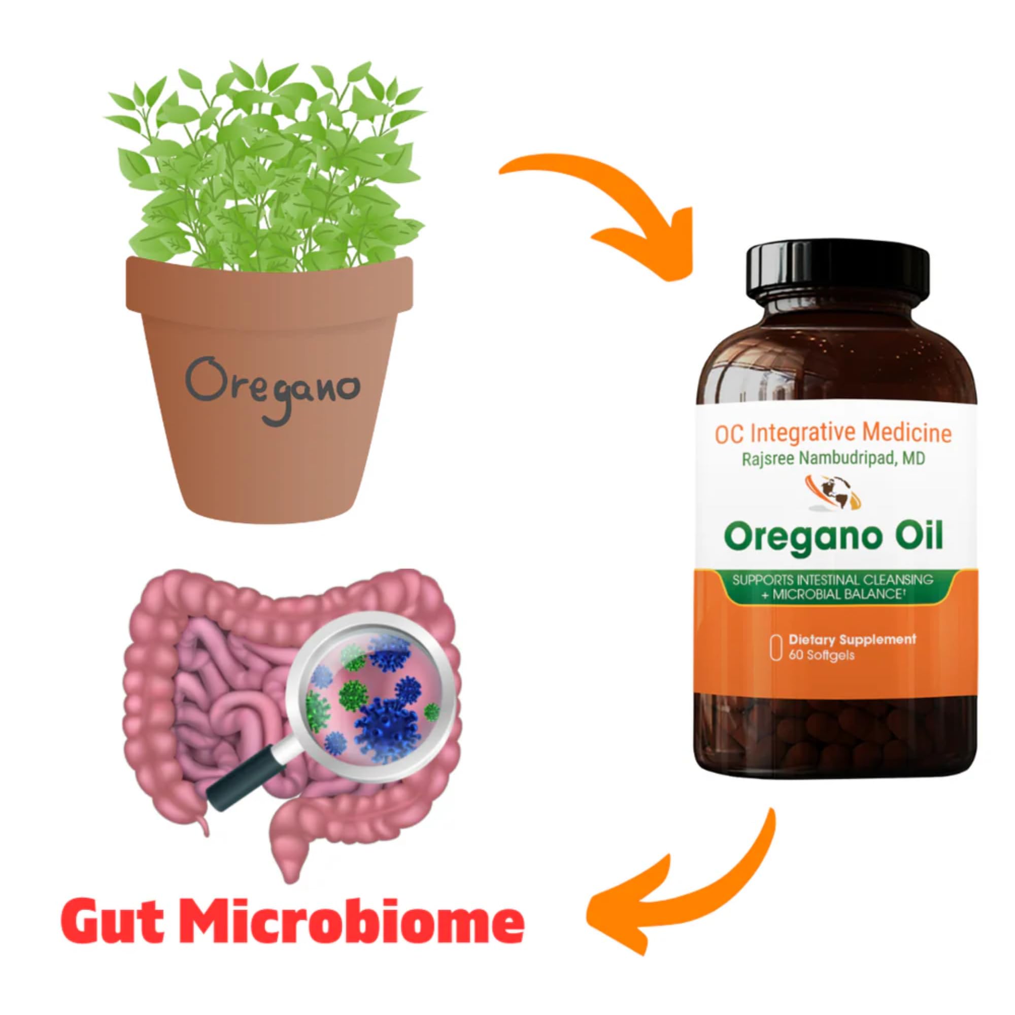 Dr. Rajsree oregano oil image suggesting immune support as an option