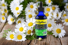 Dr. Rydland's Pleasant Tasting bottle on counter for convenient use.