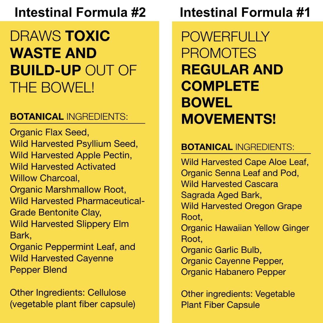 Dr. Schulze's Intestinal Formula #1 capsules closeup showing capsule details.