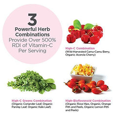 Dr. Schulze's Super-C Plus ingredient blend of 12 organic fruits and herbs.
