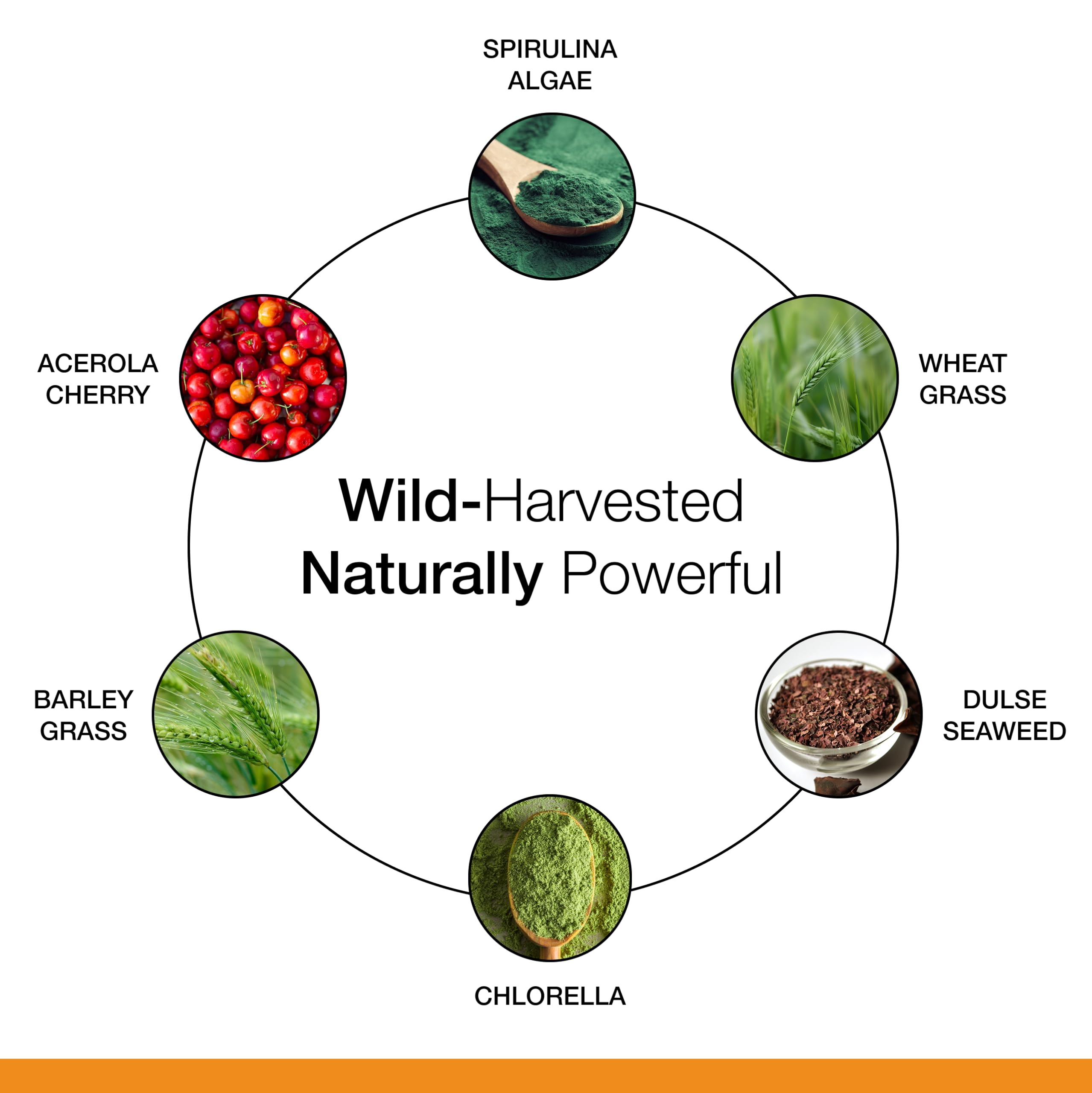 Dr. Schulze's SuperFood 100 ingredients close-up with organic, wild-harvested components.
