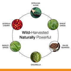 Dr. Schulze's SuperFood 100 ingredients close-up with organic, wild-harvested components.