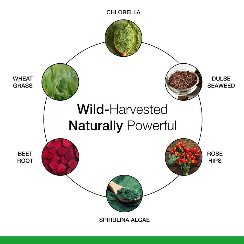 Person taking a daily Dr. Schulze's SuperFood Plus tablet.