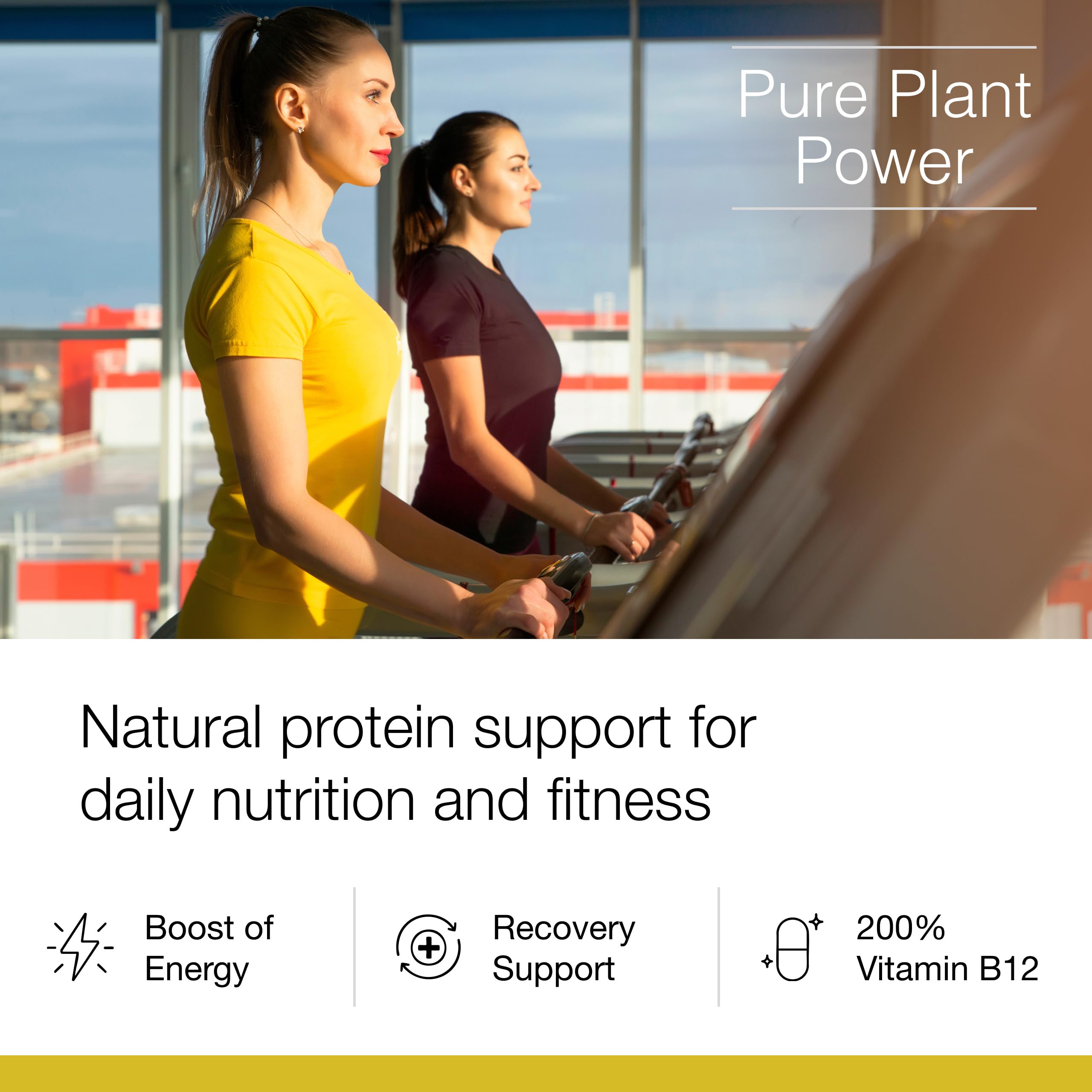 Close-up of Dr. Schulze's SuperProtein Plus powder for post-workout shakes