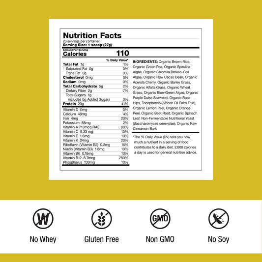 Dr. Schulze's SuperProtein Plus tub showing plant-based protein for smoothies