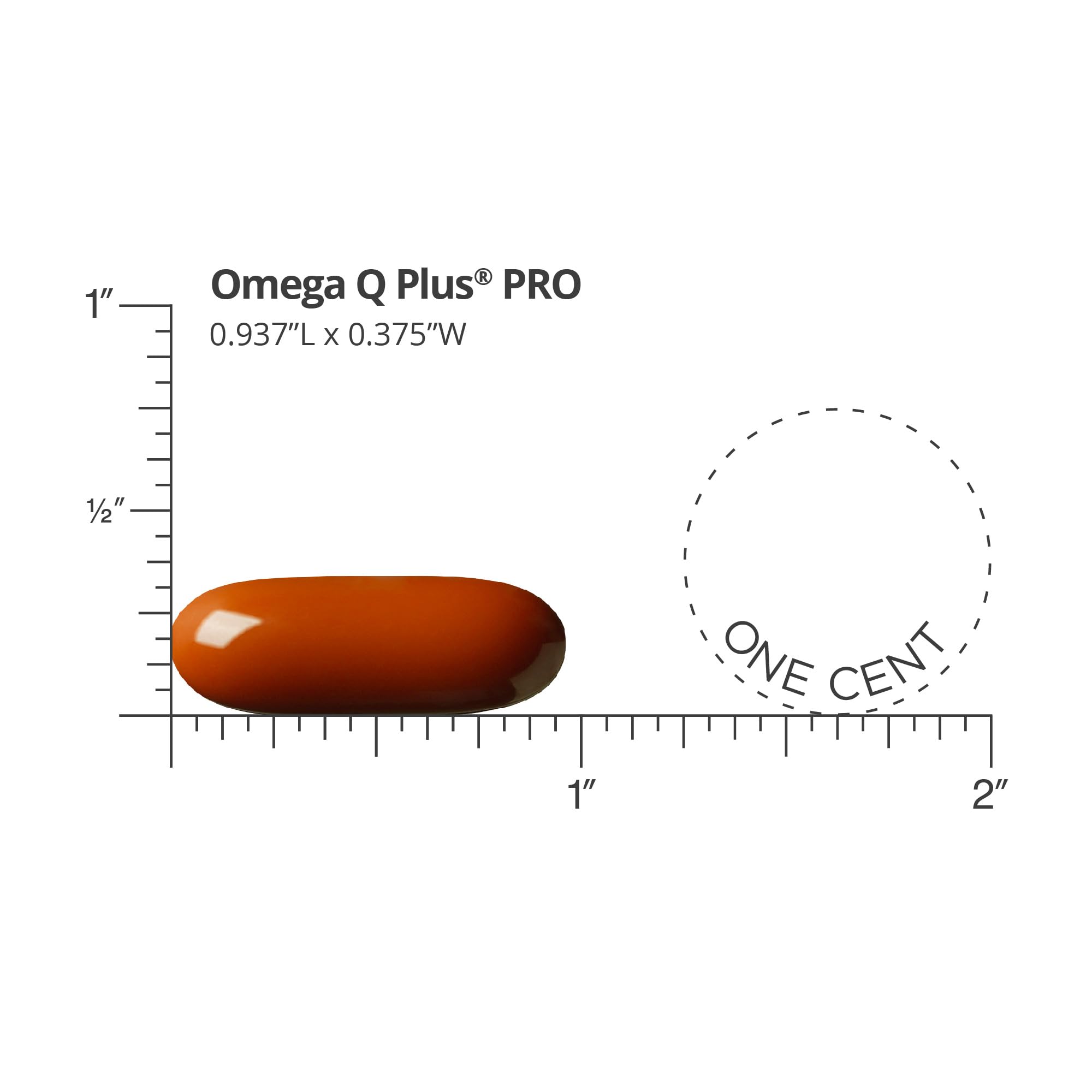 Dr. Sinatra Omega Q Plus PRO label detail highlights CoQ10 and resveratrol content.