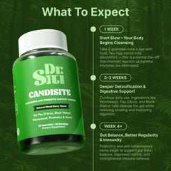 Dr. Siti Candisite gummies pack shows 60 gummies for on-the-go digestion.