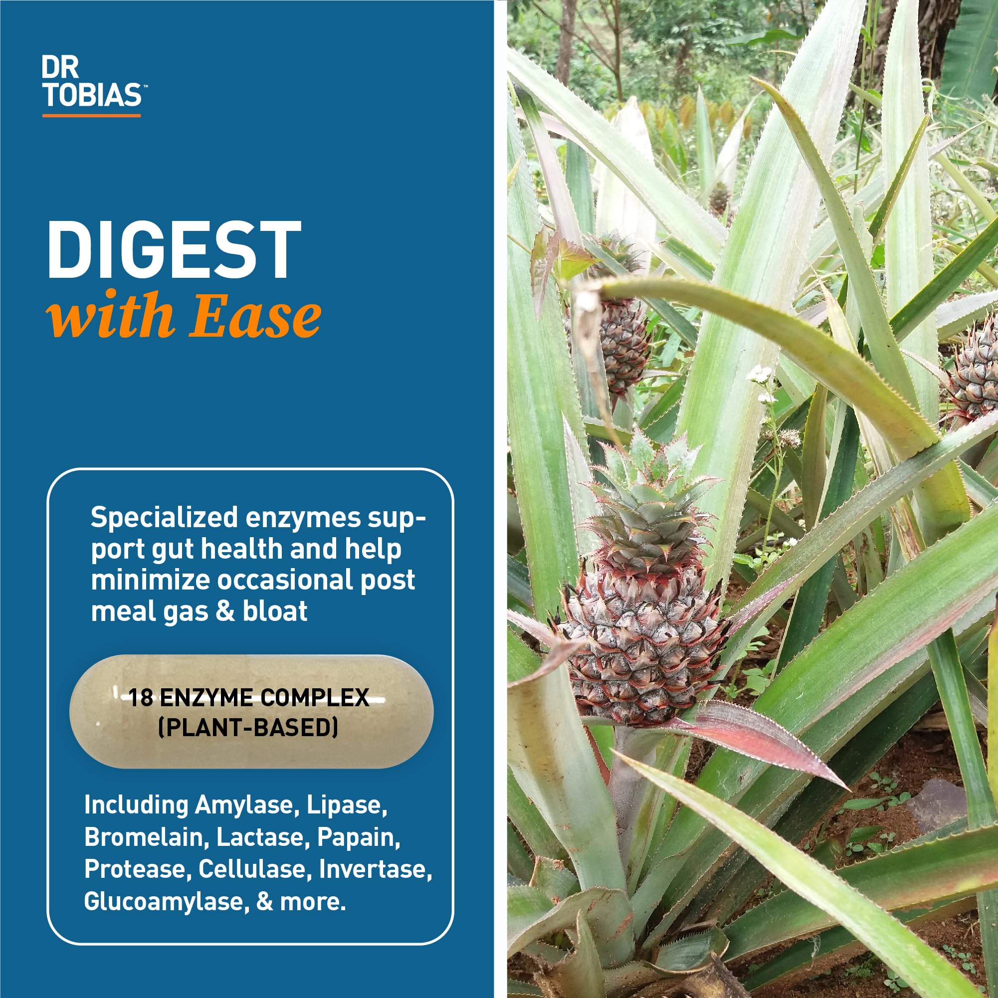 Dr. Tobias Digestive Enzymes capsules in hand for meal-time support.