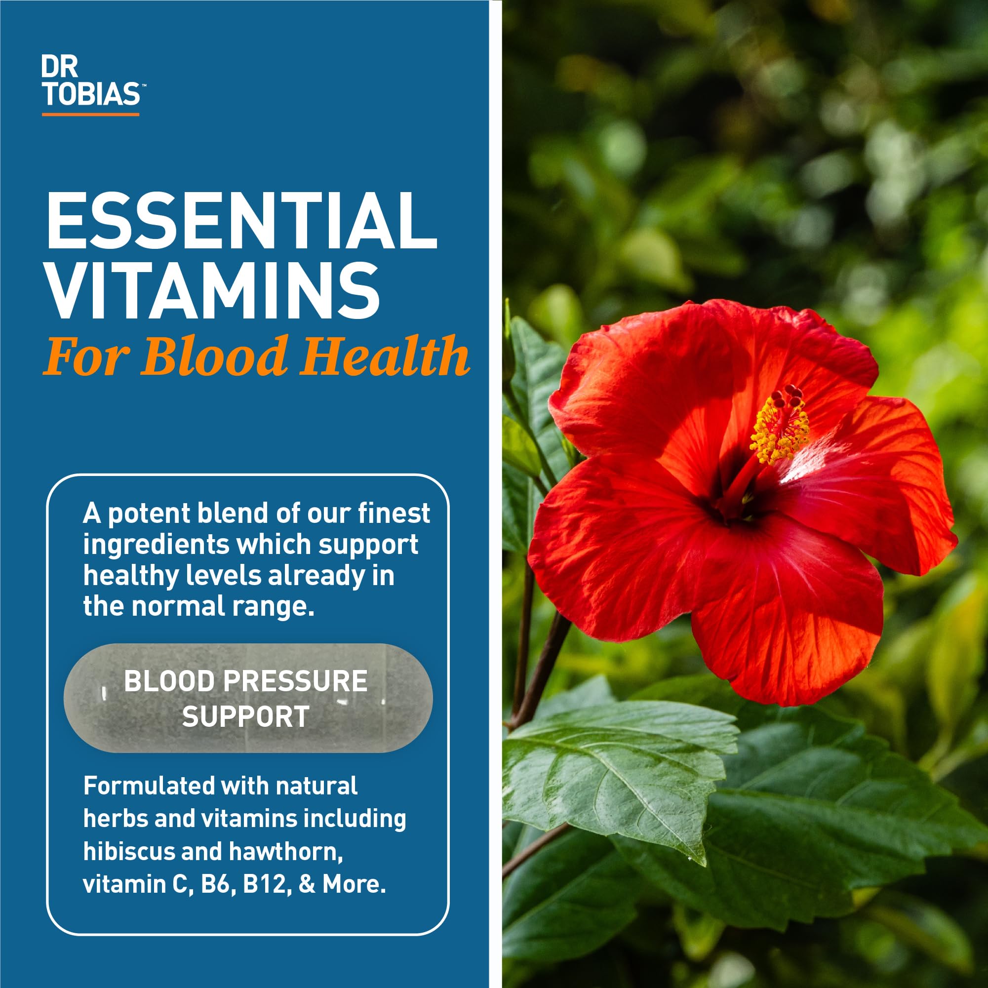 Hawthorn extract and hibiscus flowers highlight natural herbs for circulation support