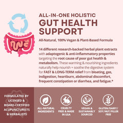 Digestive health graphic related to Dr. Tummy point toward gut support.