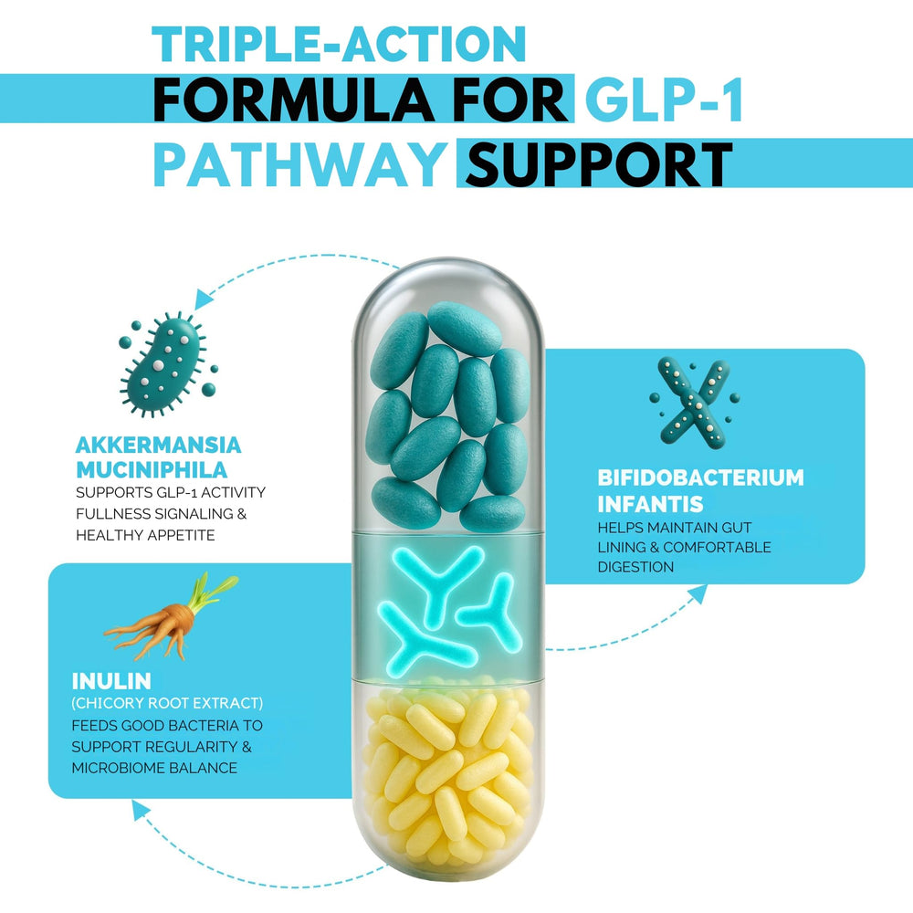 DR VITAMIN SOLUTIONS Akkermansia muciniphila capsule close-up highlighting gut barrier support