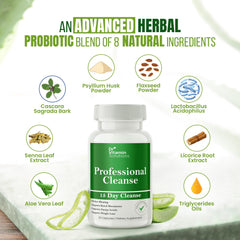 Digestive health infographic from DR VITAMIN SOLUTIONS shows detox pathway.