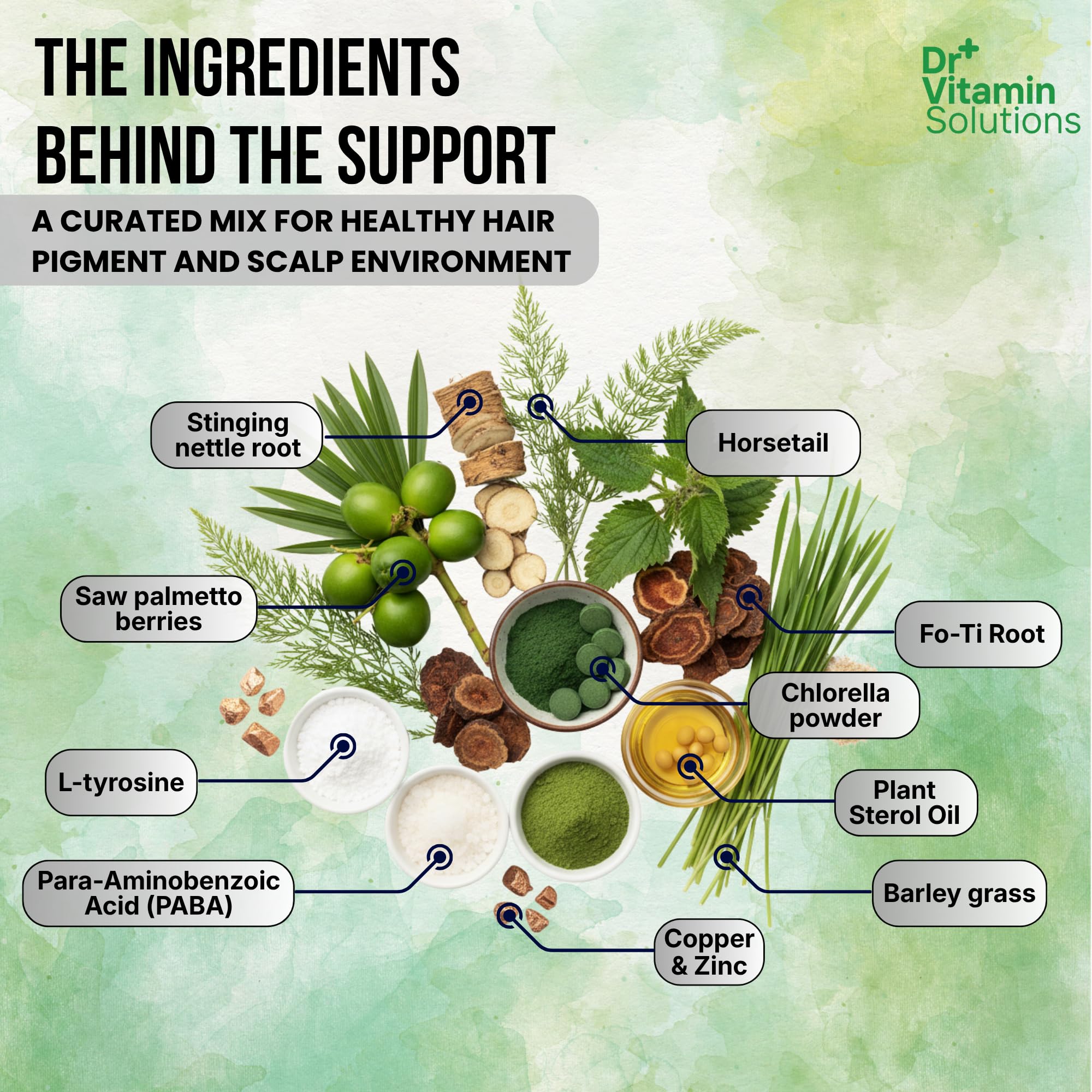 Saw Palmetto in the DR VITAMIN SOLUTIONS blend for potential hair support.