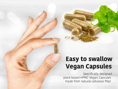 DR WAKDE'S Nirgundi packaging box highlighting sustainable packaging.