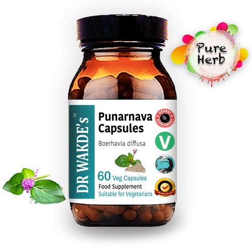 DR WAKDE'S Punarnava capsules closeup highlights pure herbal ingredients for natural balance.