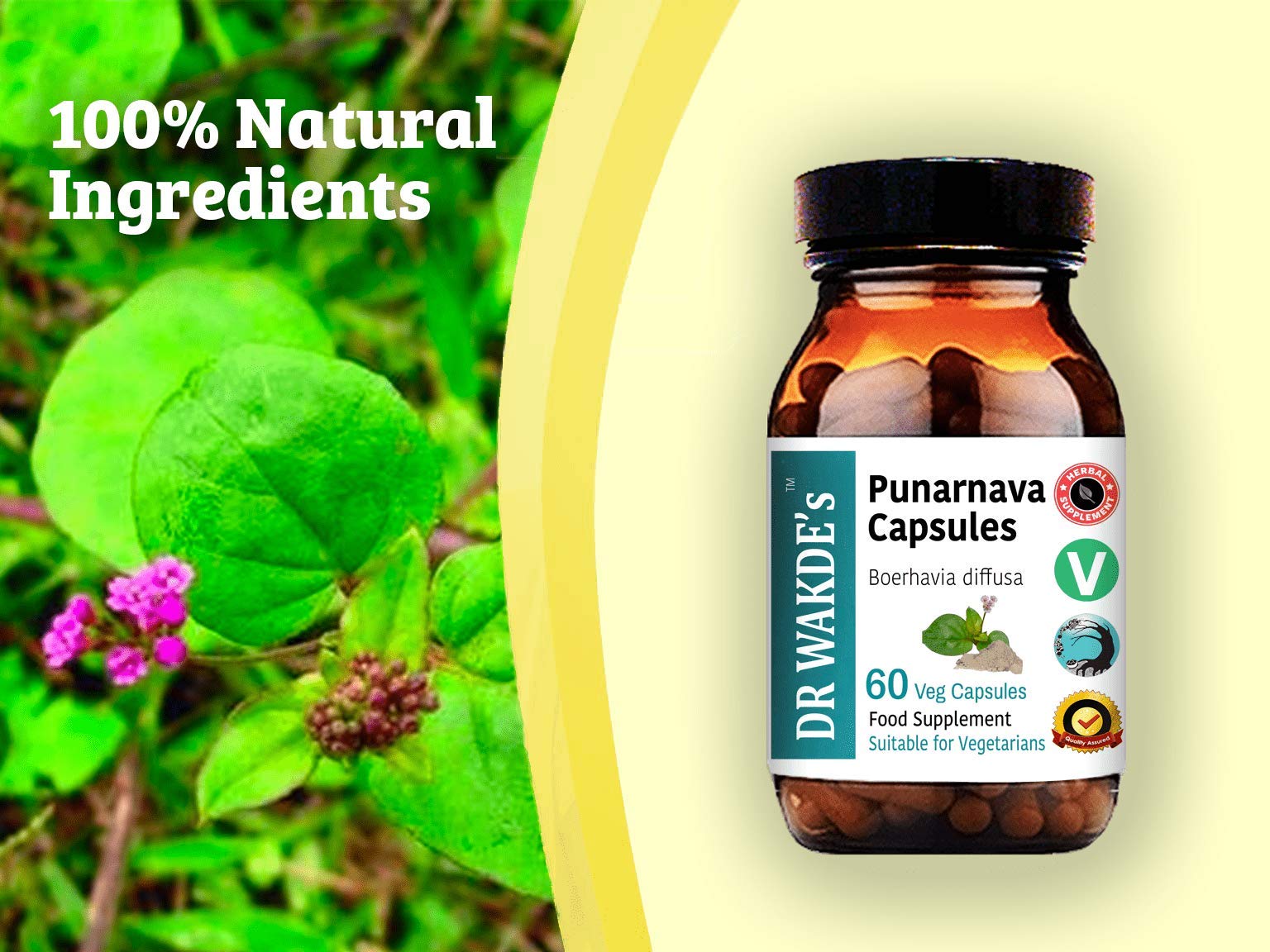 DR WAKDE'S Punarnava capsules root-ingredient highlight with Boerhavia diffusa in herbal form.