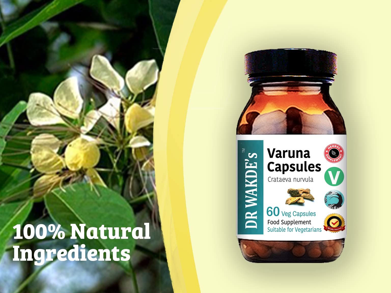 DR WAKDE's Varuna capsules with juice for convenient consumption