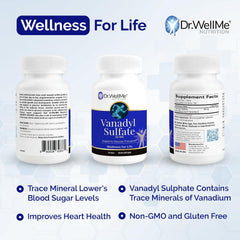 DR WELLME logo and non-GMO gluten-free icon highlighted