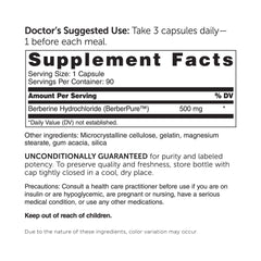 DR.WHITAKER Berberine capsules closeup highlighting texture