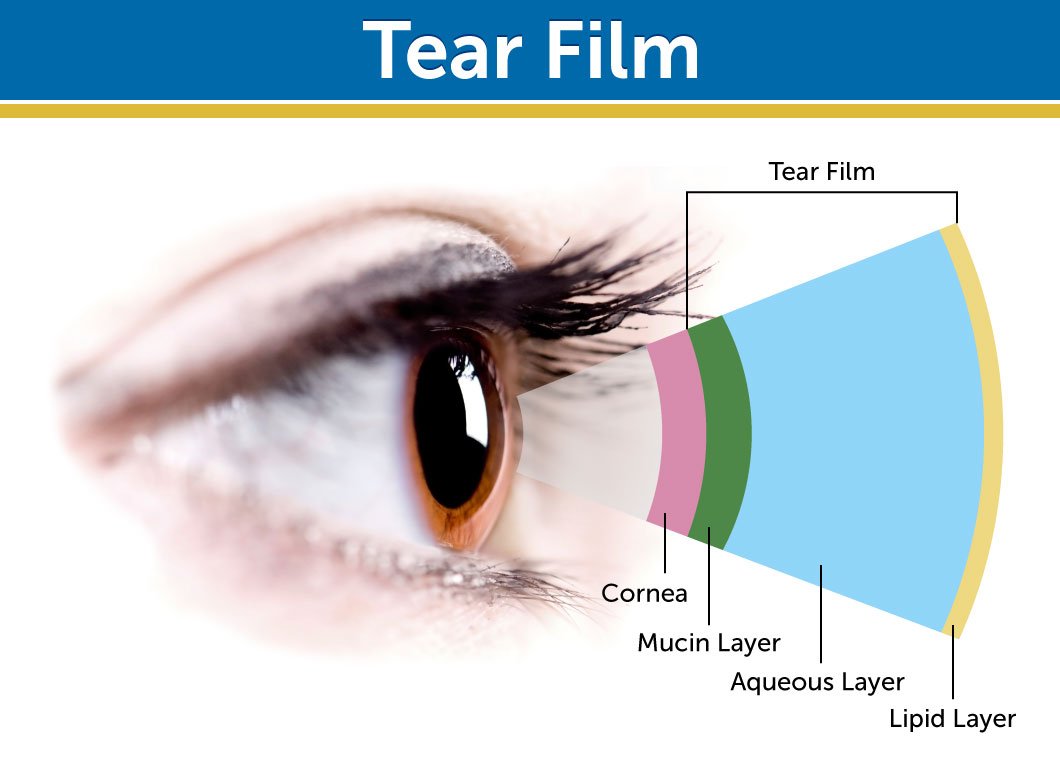 Dr. Whitaker's Eyedrate omega-3-omega-7 blend close-up for tear film support.