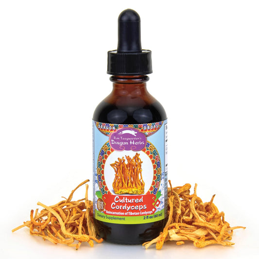 Dragon Herbs Cultured Cordyceps Drops bottle closeup reveals rich tincture ready to support daily energy