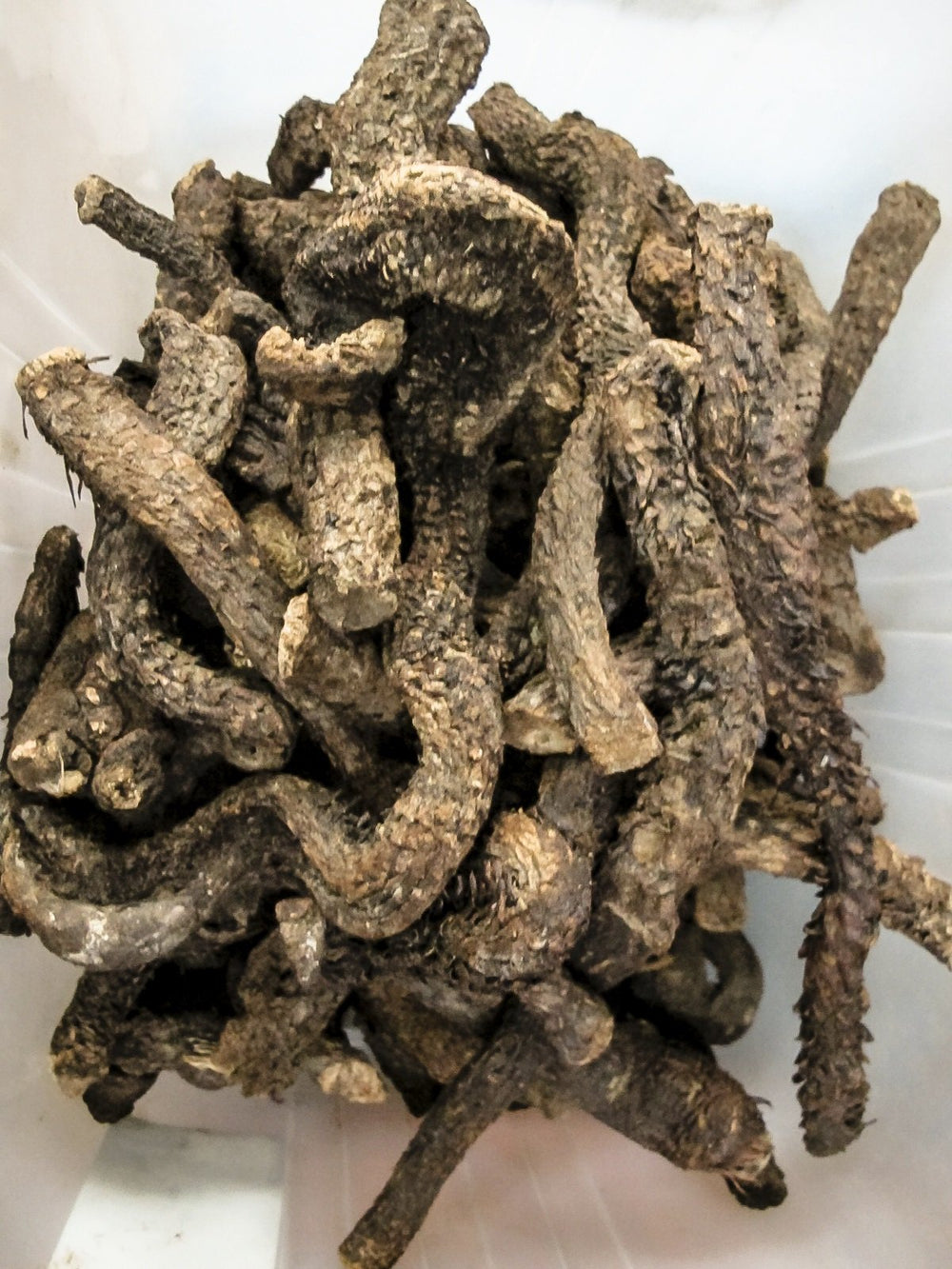 Dragon Herbs Return to Youth bottle pour demonstrates simple daily dosing.