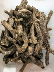 Dragon Herbs Return to Youth bottle pour demonstrates simple daily dosing.