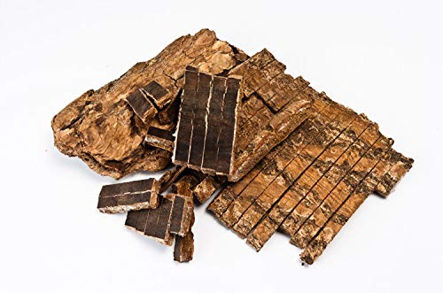 Dragon Herbs Return to Youth capsules alongside fresh herbs suggests ritual daily wellness.