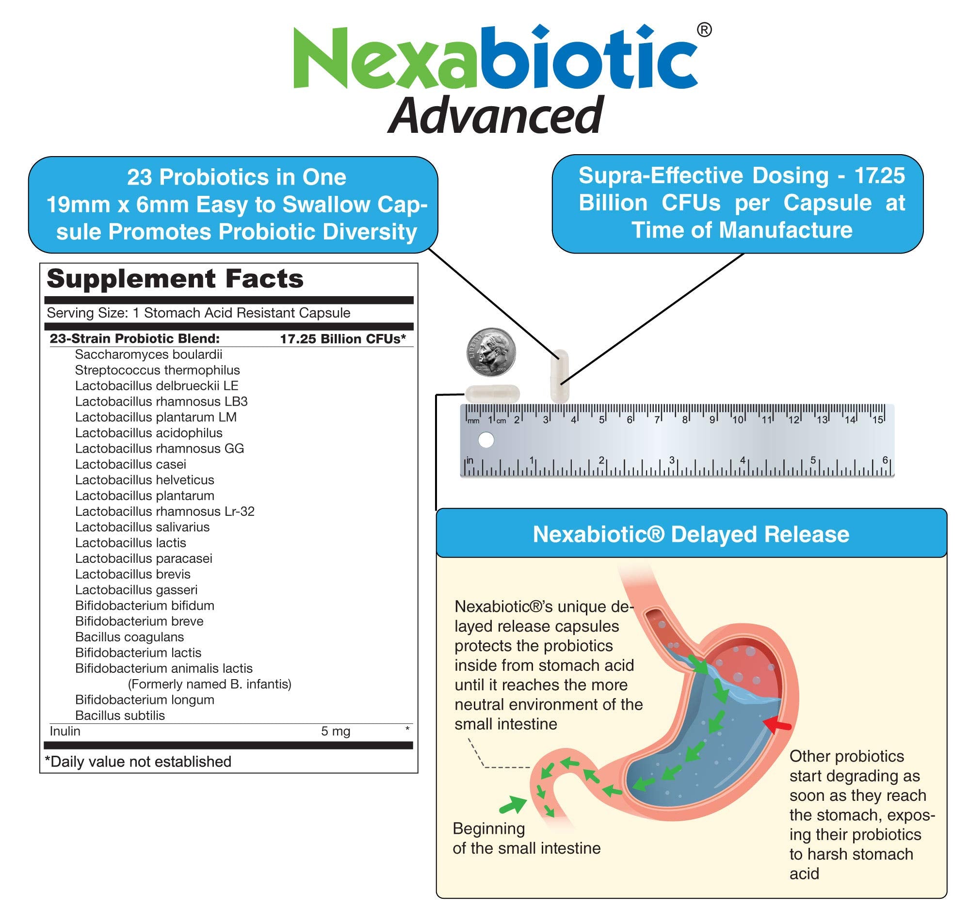 Two capsules dosage for daily probiotic routine