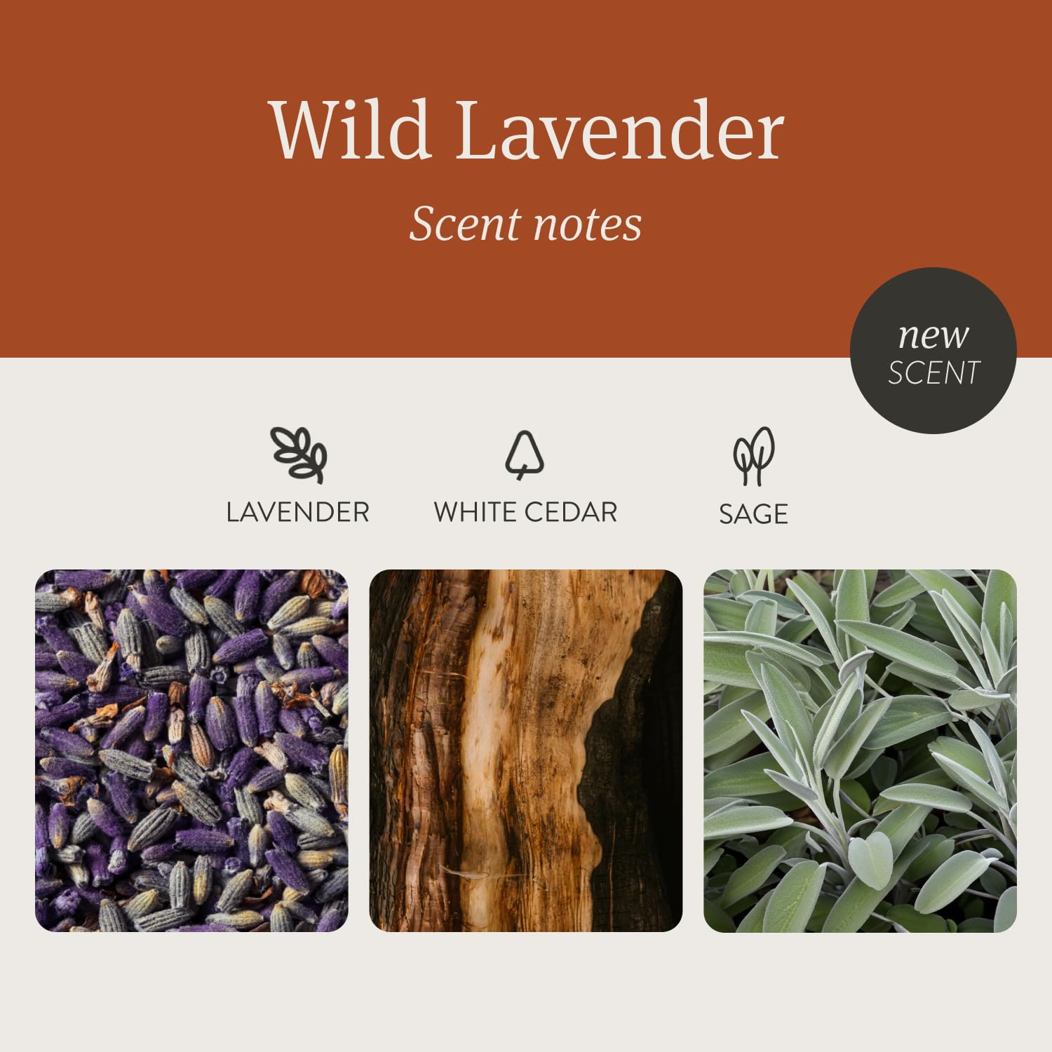 Drift Wild Lavender candle demonstrates 60-day diffusion when unlit.