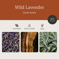Drift Wild Lavender candle demonstrates 60-day diffusion when unlit.