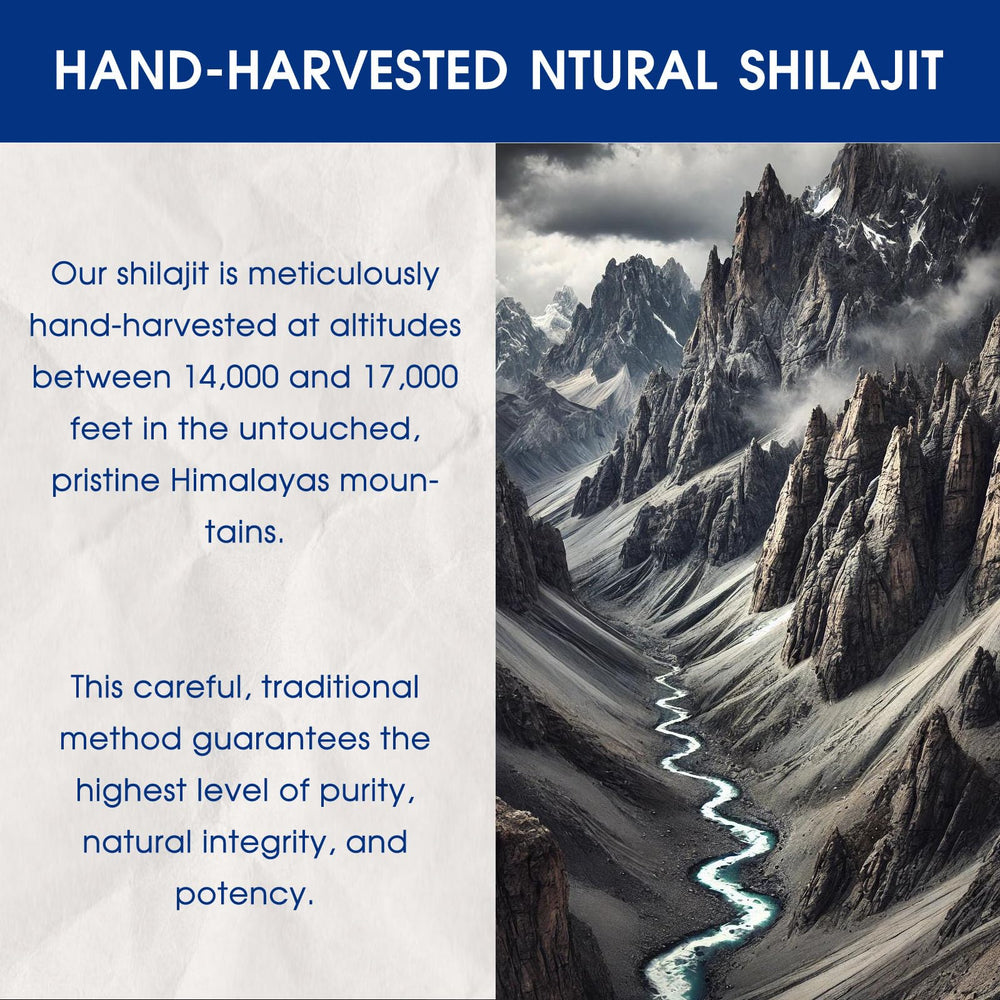 Duoxionglashilajit resin label detail showing minerals and harvest notes.