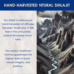 Duoxionglashilajit resin label detail showing minerals and harvest notes.