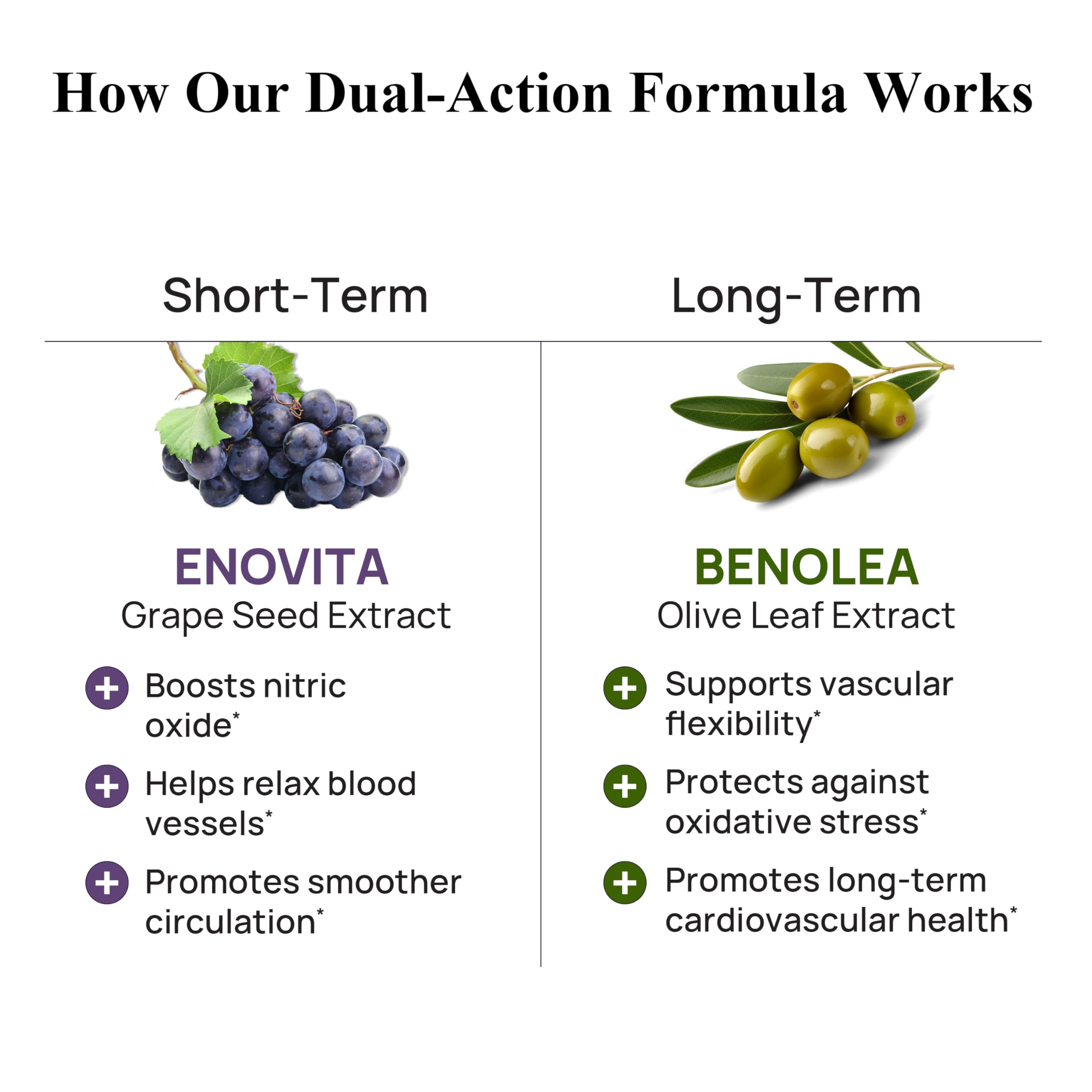 Durable Blood Pressure olive leaf extract 1000 mg note emphasizes potency.