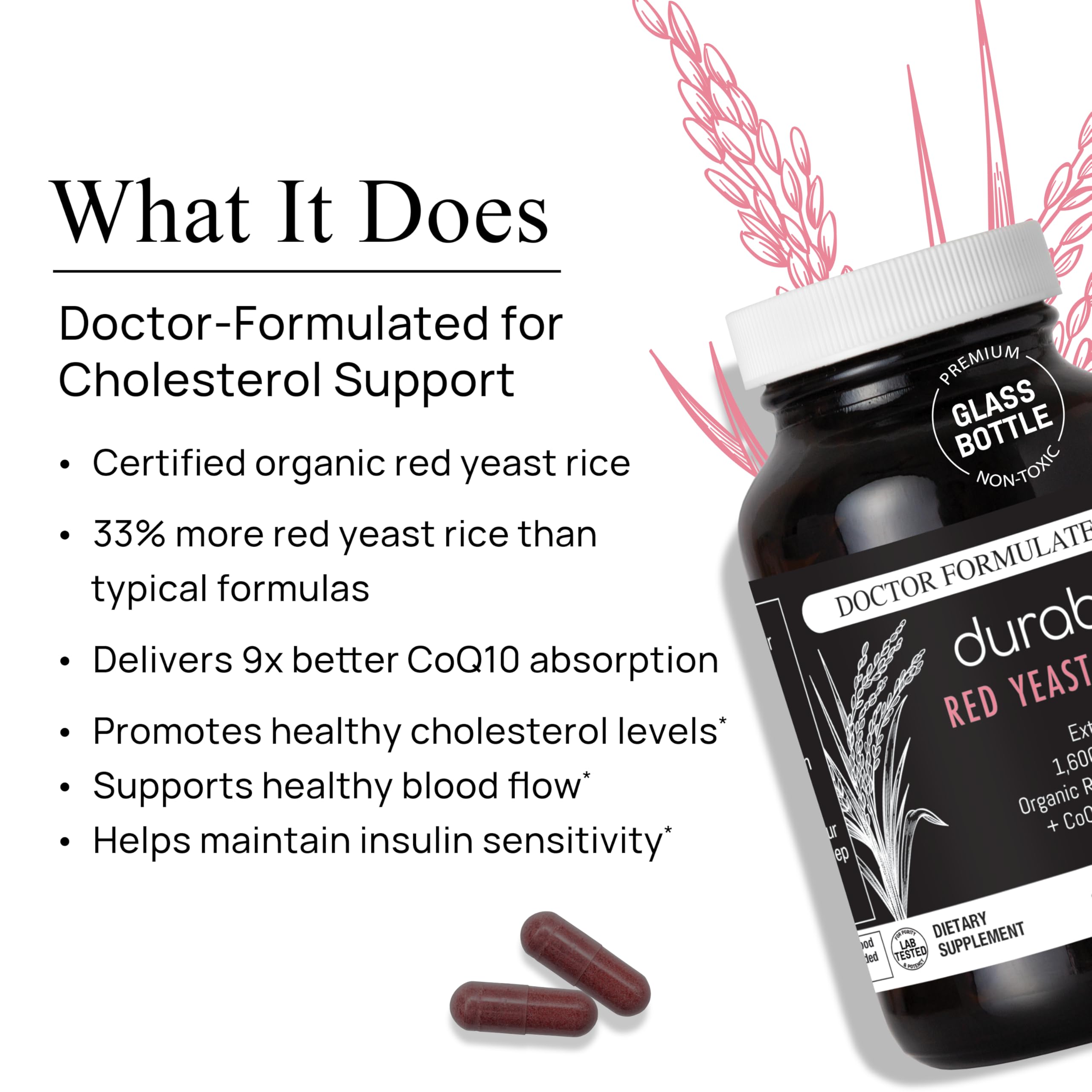 Durable CoQ10 Phytosome capsules highlighting enhanced absorption and cellular energy support.