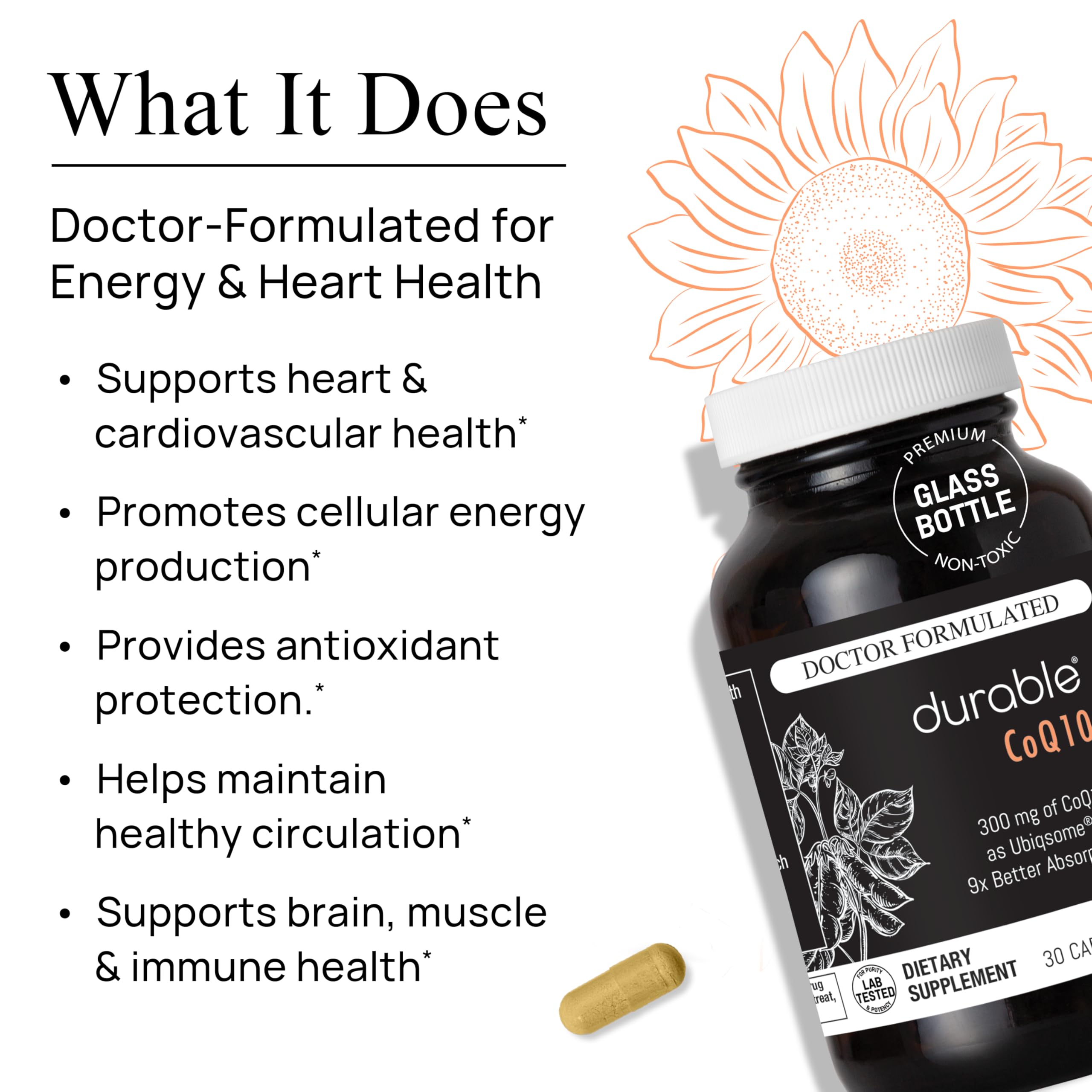 Durable CoQ10 bottle with quercetin highlighting enhanced absorption potential.