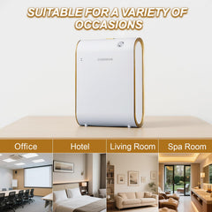 DXBDHSJK diffuser 350 ml capacity supports long-lasting fragrance.