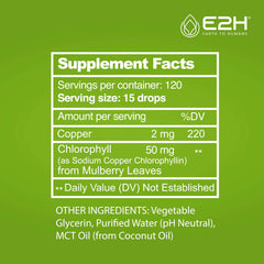E2H Chlorophyll Drops blended into smoothie for natural energy