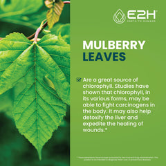 E2H Chlorophyll liquid drops label highlights a 100% natural, additive-free formula.
