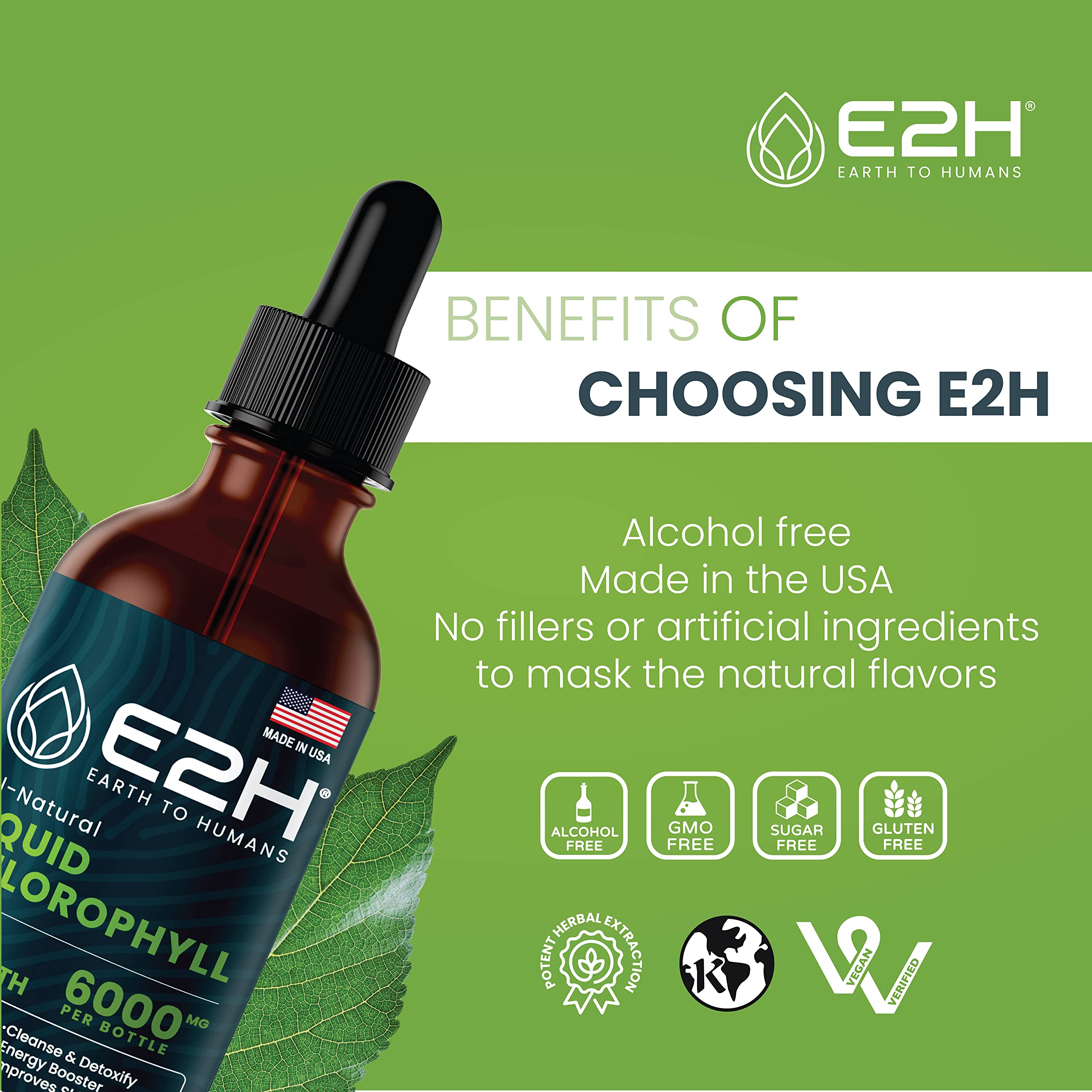 E2H two-bottle packaging shows value for daily energy and digestion support.